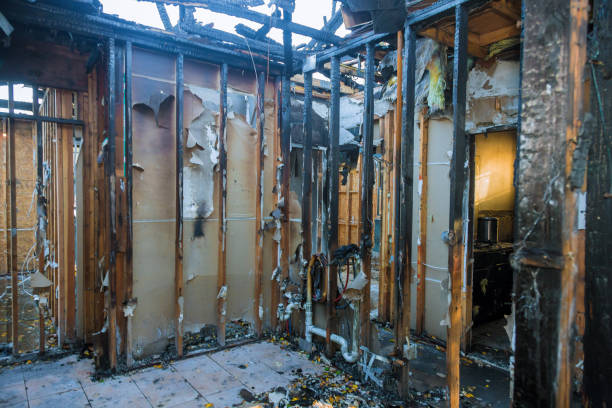 Professional Smoke Damage Removal technician working in Mescal, AZ